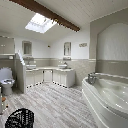 Maison Familiale Spacieuse A Avec Jardin Niort